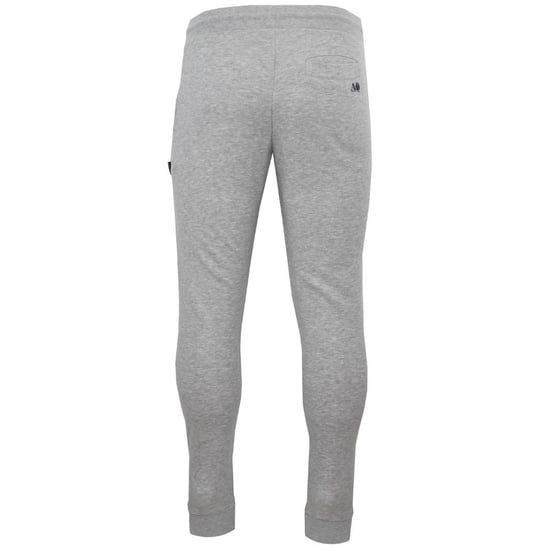 Aquascutum - Jogginghosen für Herren (Grau) - Image 2