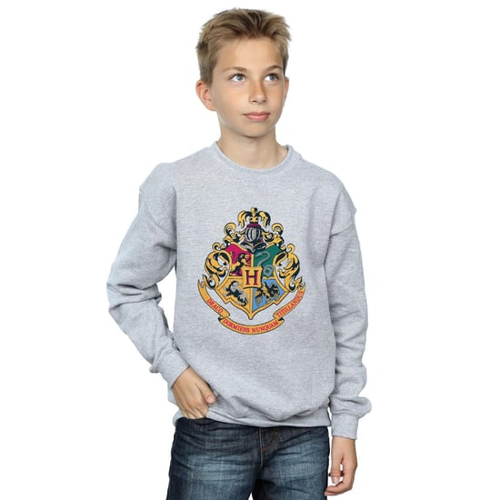 Harry Potter - "Hogwarts" Sweatshirt für Jungen (Grau) - Image 3