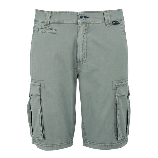 Regatta - "Ruwan" Freizeitshorts für Herren (Sturmgrau) - Image 1