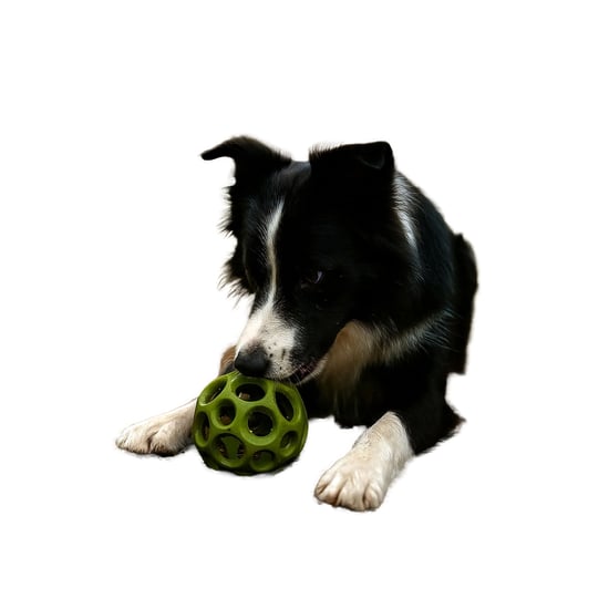 Nike - Hundespielzeug "Max Fusion", Spirale (Grün) - Image 2