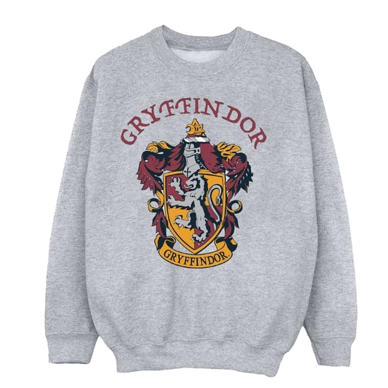 Harry Potter - Sweatshirt für Jungen (Grau) - Image 1