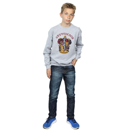 Harry Potter - Sweatshirt für Jungen (Grau) - Image 5