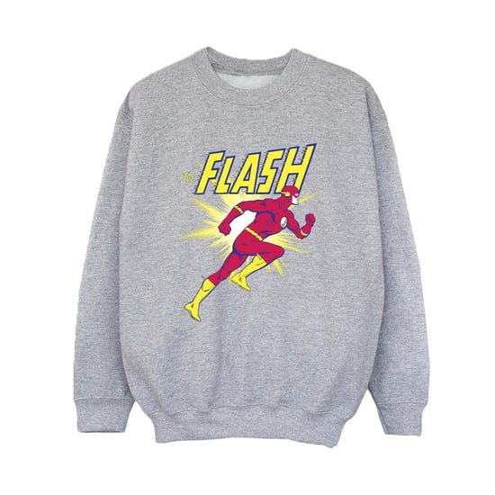 DC Comics - Sweatshirt für Jungen (Grau) - Image 1