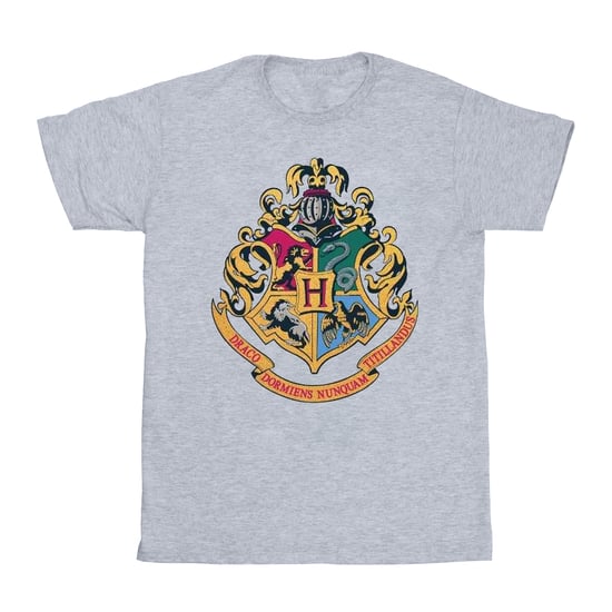 Harry Potter - "Hogwarts" T-Shirt für Jungen (Grau) - Image 1