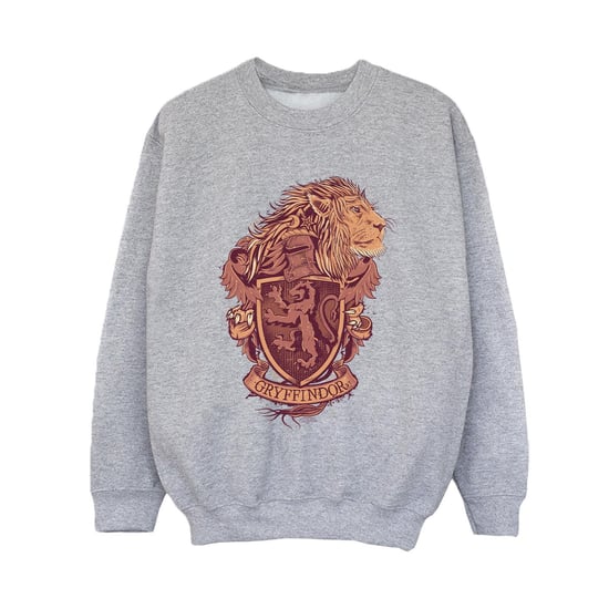 Harry Potter - "Gryffindor" Sweatshirt für Jungen (Grau) - Image 1