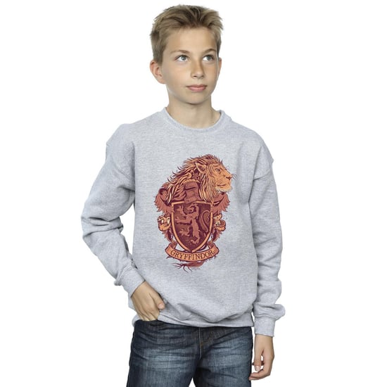 Harry Potter - "Gryffindor" Sweatshirt für Jungen (Grau) - Image 2