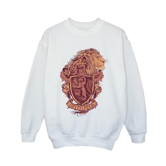Harry Potter - "Gryffindor" Sweatshirt für Jungen (Weiß) - Image 1