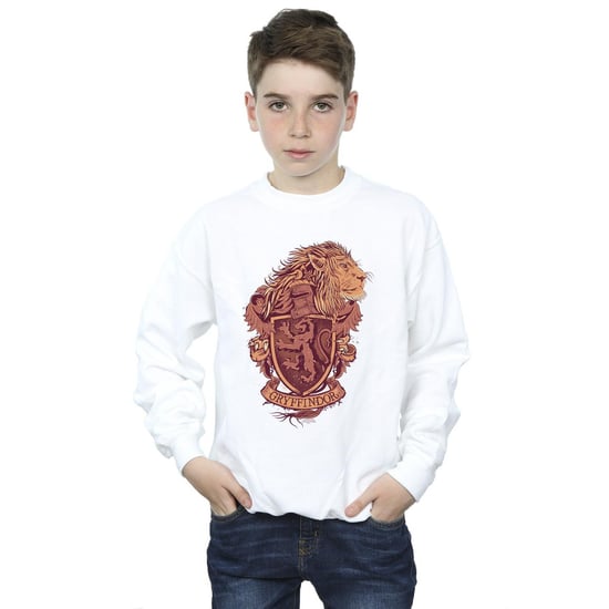 Harry Potter - "Gryffindor" Sweatshirt für Jungen (Weiß) - Image 2