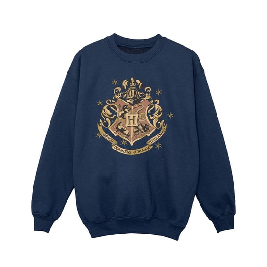 Harry Potter - Sweatshirt für Mädchen (Marineblau) - Image 1