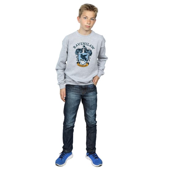Harry Potter - Sweatshirt für Jungen (Grau) - Image 5