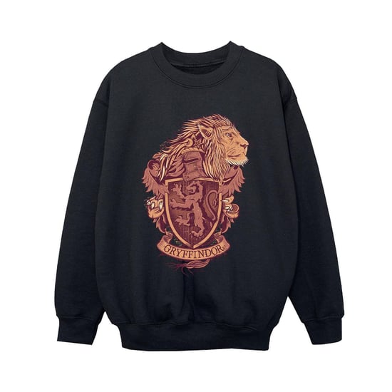 Harry Potter - "Gryffindor" Sweatshirt für Jungen (Schwarz) - Image 1