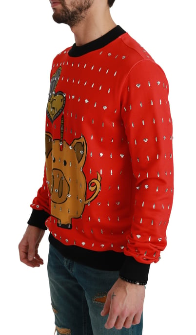 Schweinebank Kristallpullover - Image 3