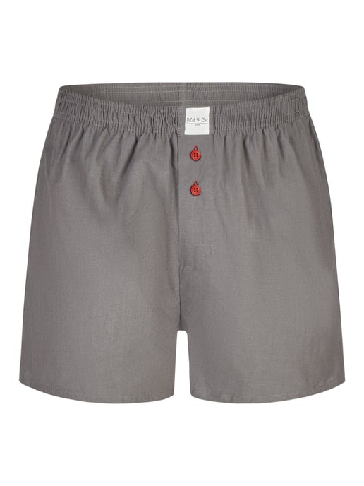 Phil & Co. Berlin Herren Boxer ClassicsBoxershorts, Unterhose, Boxerbriefs - Image 2