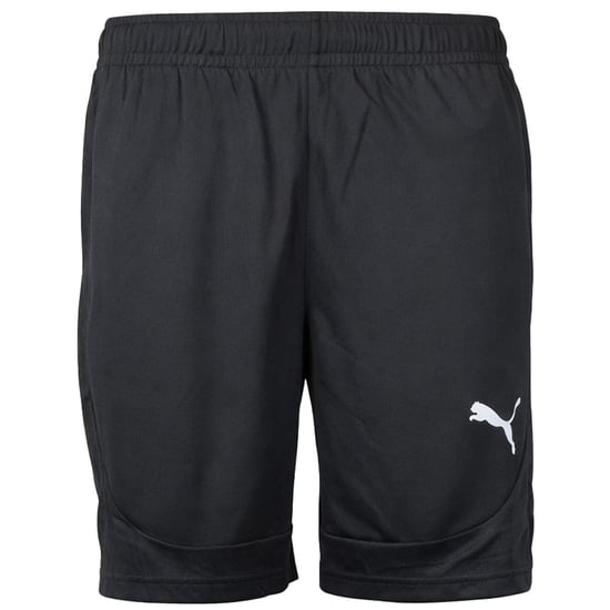 Puma teamFinal Herren Schwarze Trainingsshorts - Image 1