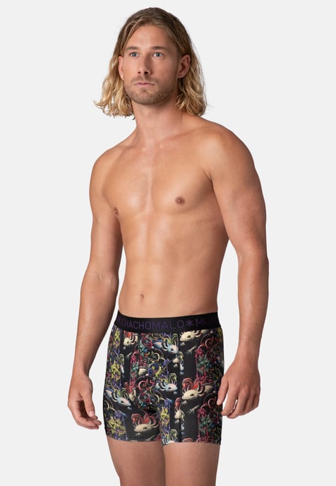 Muchachomalo Boxershorts aus Baumwoll-Modal für Herren – 2er-Pack – Herrenunterwäsch - Image 5