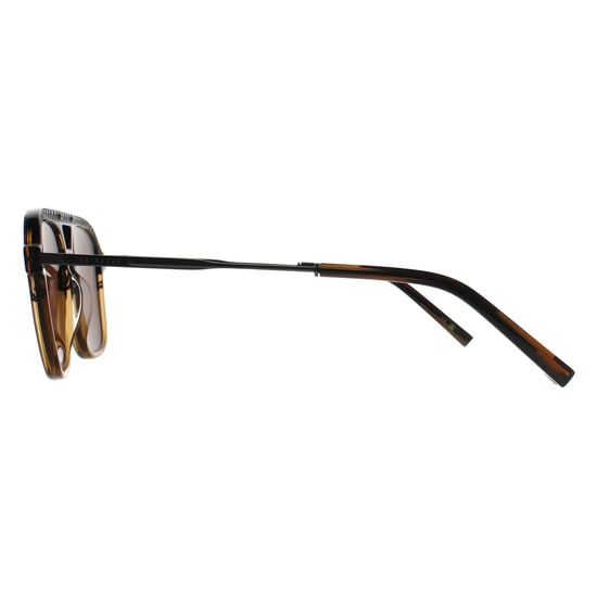 Ted Baker Aviator Herren Braun Horn Gradient Braun TB8259 - Image 3