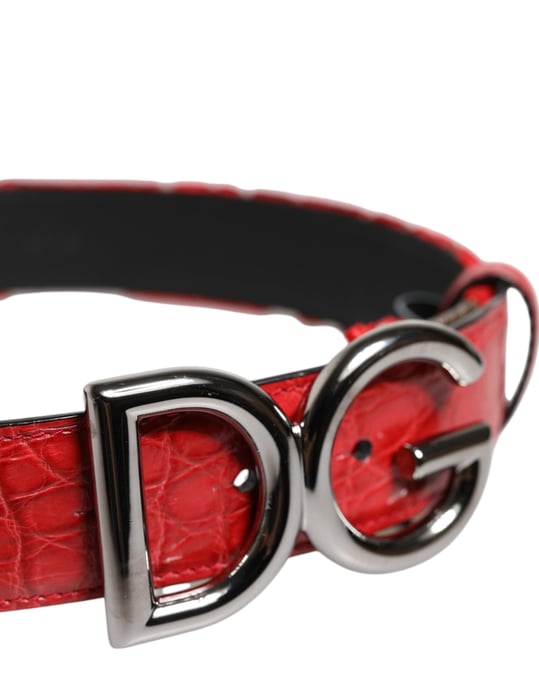 Dolce & Gabbana Rote Viskose Silber DG Logo Metall Schnalle Gürtel - Image 4