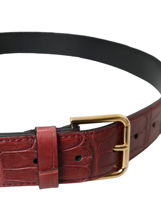 Dolce & Gabbana Brauner Alligatorleder-Gürtel mit Nieten und Metallverschluss - Image 3