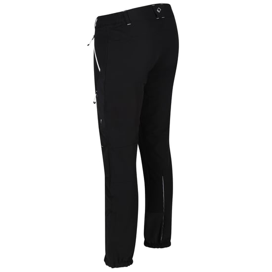 Regatta Herren Bergwanderhose (Schwarz) - Image 2