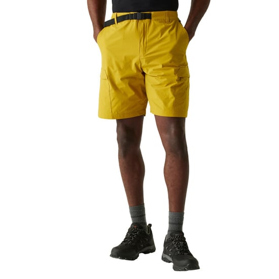 Regatta - "Mallen" Shorts für Herren () - Image 4
