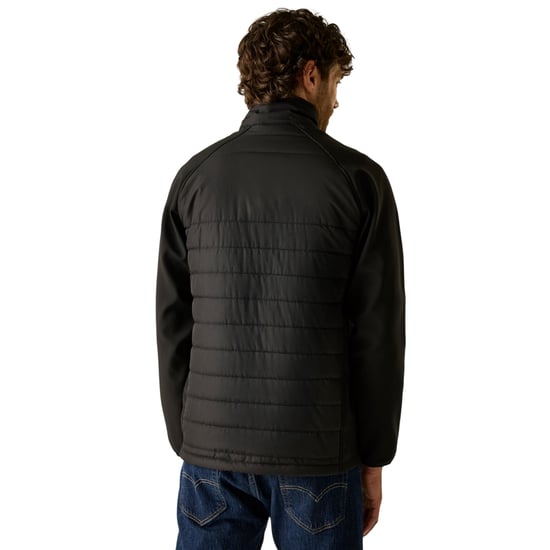 Regatta - Steppjacke für Herren, Durchgehender Reißverschluss (Schwarz/Rot) - Image 4