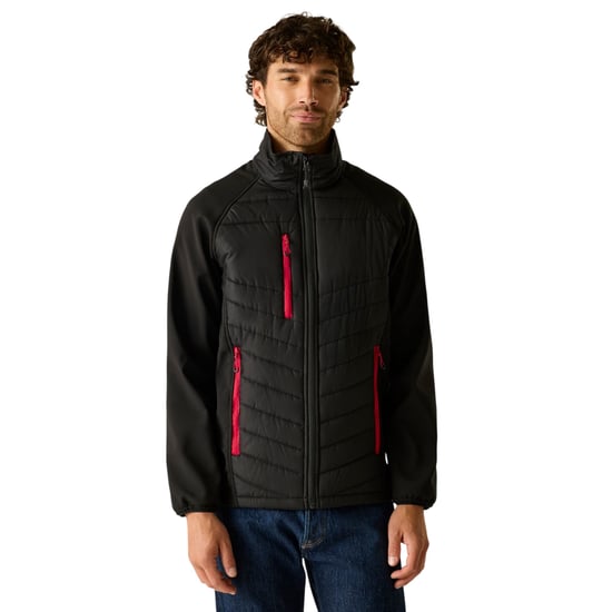 Regatta - Steppjacke für Herren, Durchgehender Reißverschluss (Schwarz/Rot) - Image 5