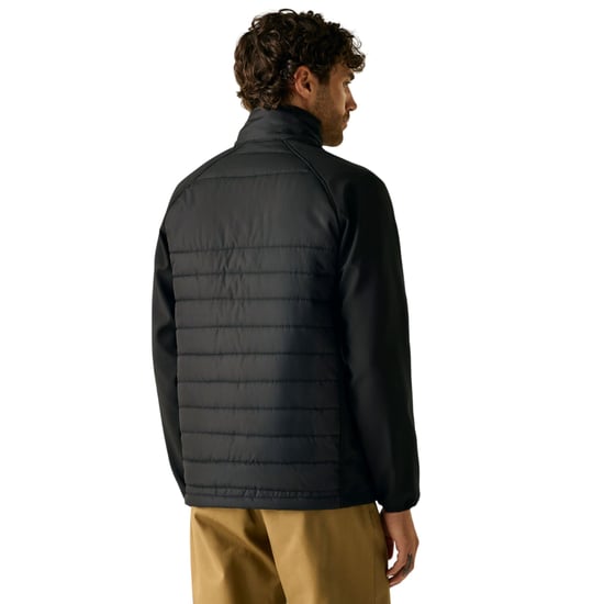 Regatta - Steppjacke für Herren, Durchgehender Reißverschluss (Schwarz/Asche) - Image 4