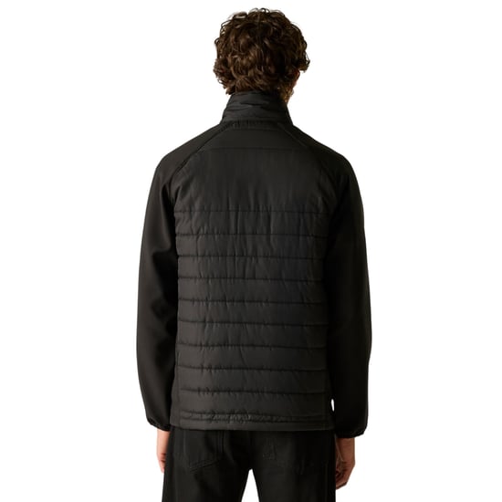 Regatta - Steppjacke für Herren, Durchgehender Reißverschluss (Schwarz/Orangenpop) - Image 4
