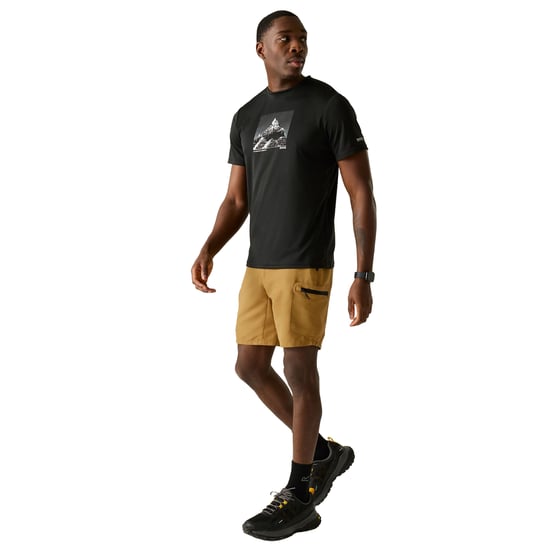 Regatta - "Leesville III" Shorts für Herren (Holzbraun) - Image 4