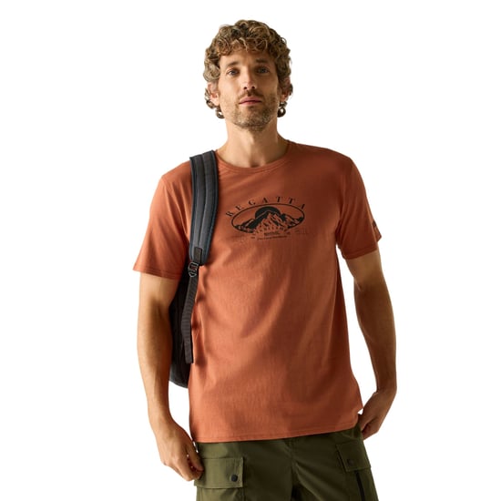 Regatta - "Cline IX" T-Shirt für Herren (Ziegelrot) - Image 4