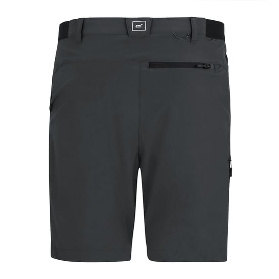 Regatta Professional - Shorts für Herren , Reise (Asche) - Image 2