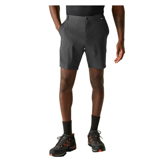 Regatta Professional - Shorts für Herren , Reise (Asche) - Image 4