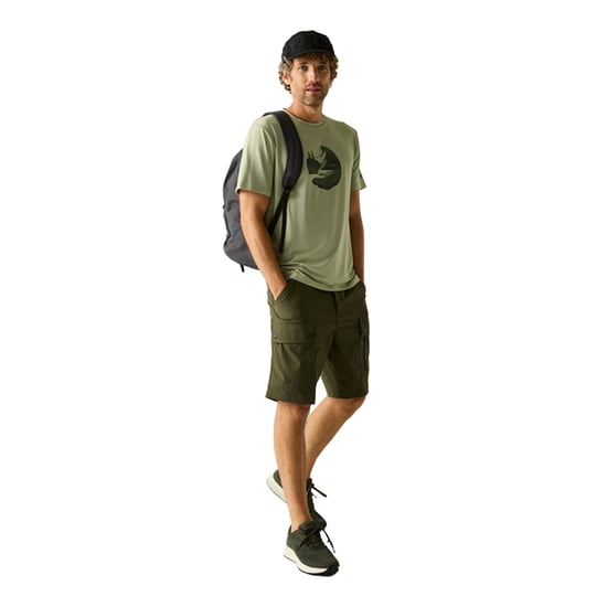 Regatta - "Fingal" T-Shirt für Herren (Leichter Salbei) - Image 4