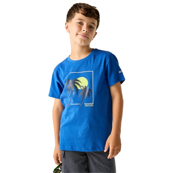 Regatta - "Bosley" T-Shirt für Kinder (Königsblau) - Image 4