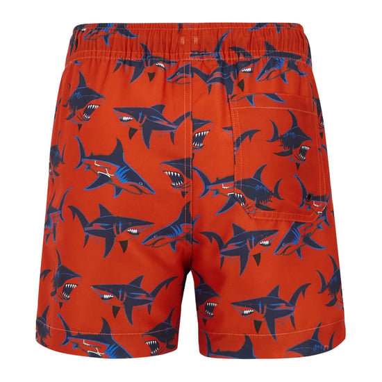 Regatta - "Skander" Badeshorts für Jungen (Rost/Orange) - Image 2