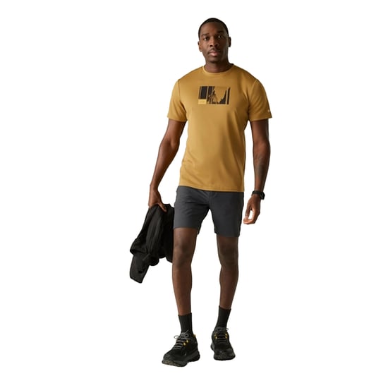 Regatta - "Fingal" T-Shirt für Herren (Holzbraun) - Image 4