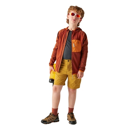 Dare 2B - "Expedition" Midlayer für Kinder, Stretch (Arabische Gewürze) - Image 4