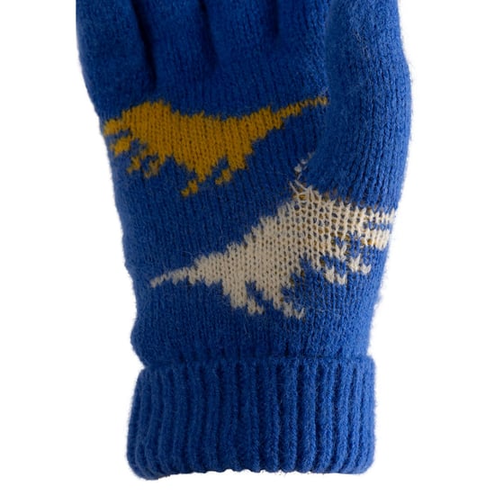 Trespass - Kinder Handschuhe "Casper" (Blau) - Image 4