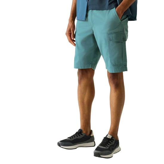 Regatta - "Ruwan" Freizeitshorts für Herren (Arktis) - Image 4