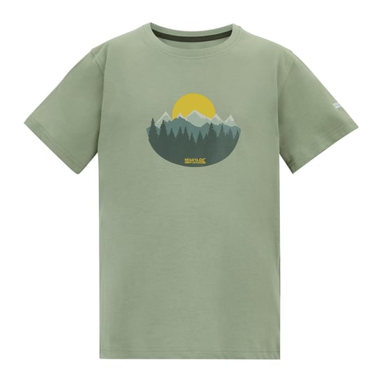 Regatta - "Bosley" T-Shirt für Kinder (Salbeigrün) - Image 1