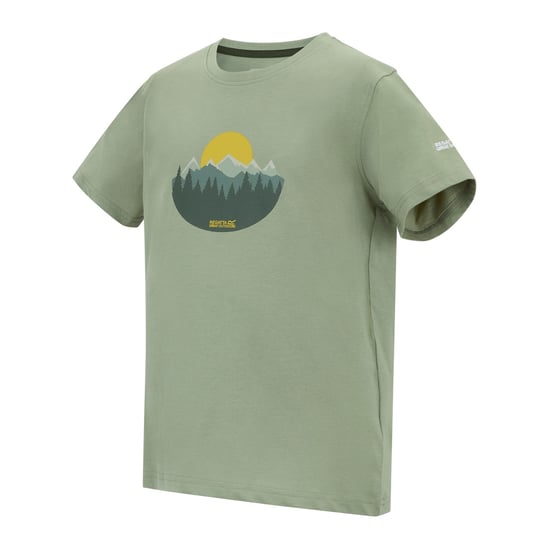 Regatta - "Bosley" T-Shirt für Kinder (Salbeigrün) - Image 3
