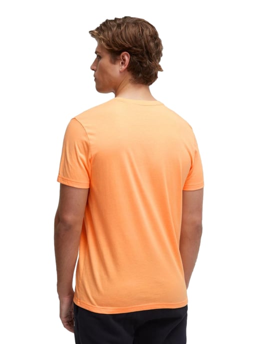 Camp David T-Shirt - Image 2