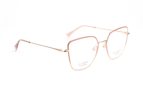 Ana Hickmann Brillenfassung HI1263T 09B 53 Titan - Image 1