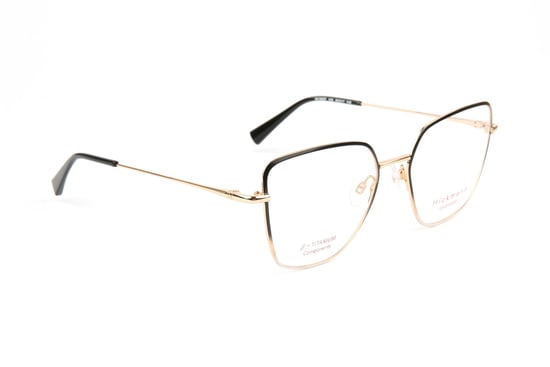Ana Hickmann Brillenfassung HI1263T 12A 53 Titan - Image 1