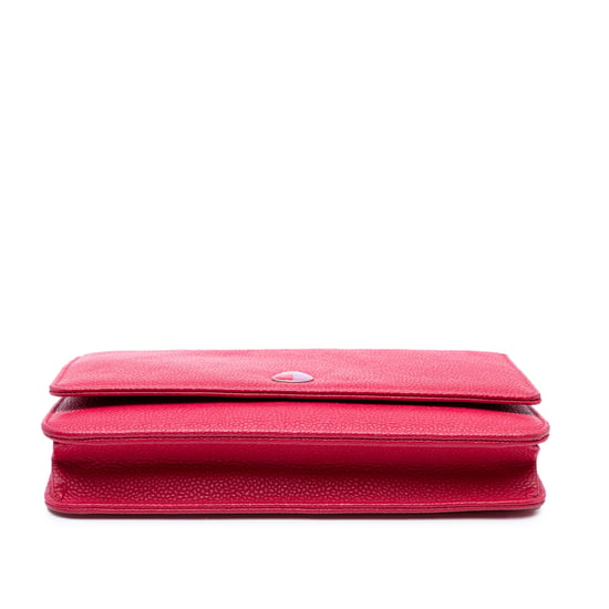 Gebrauchtes Kaviar Bicolor Cc Wallet On Chain - Image 3