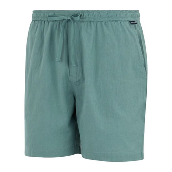 Regatta - "Hadlin" Shorts für Herren (Arktis) - Image 3