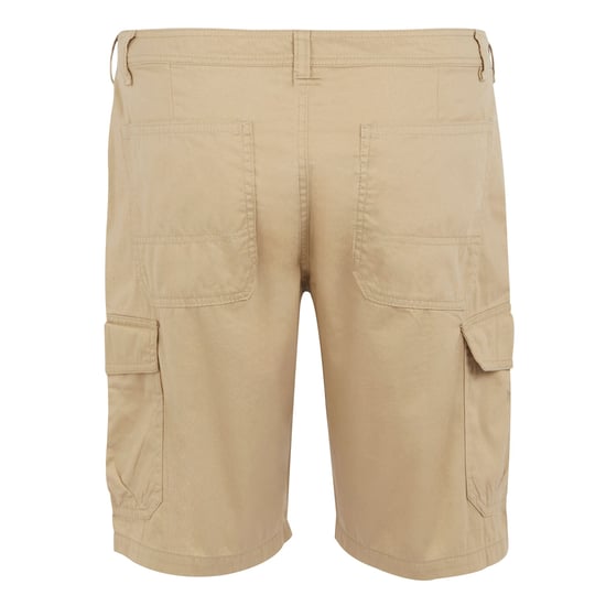 Regatta - "Ruwan" Freizeitshorts für Herren (Hafer) - Image 2