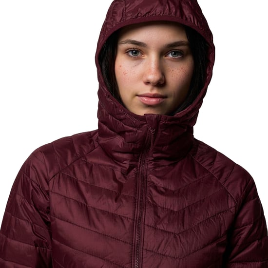 Damen Hybrid Wattierte Jacke mit Kapuze Powder Pass™ II 2126122 - Image 6