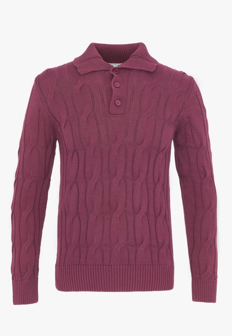 Pullover Pullover Mit Polo-Kragen - Image 1