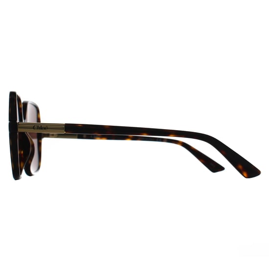 Chloe Square Womens Dark Havana Braun CH0362S - Image 3